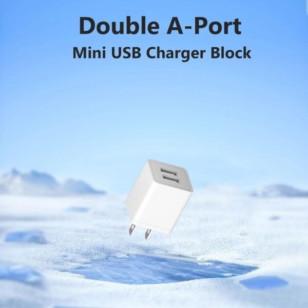 Dual USB Charger Block