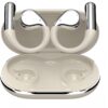 Wireless Earbuds with Ear Hooks